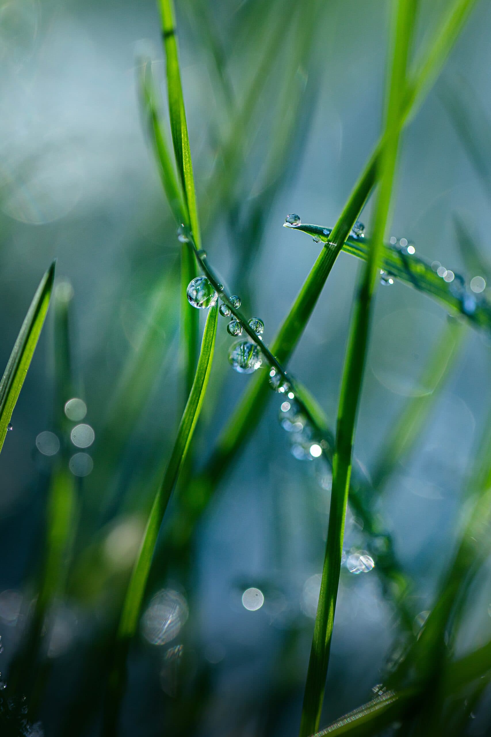World Water Week 2026